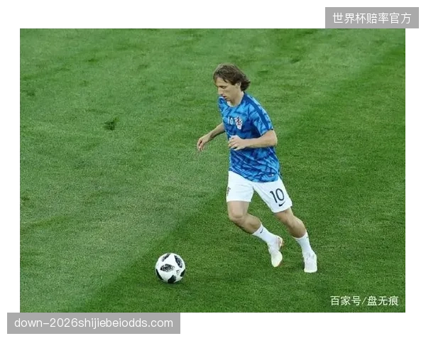 大型体育协会的“全能”时代趋于结束，“小而美”的专项NPO凭借其在细分领域的独立评估能力实现崛起